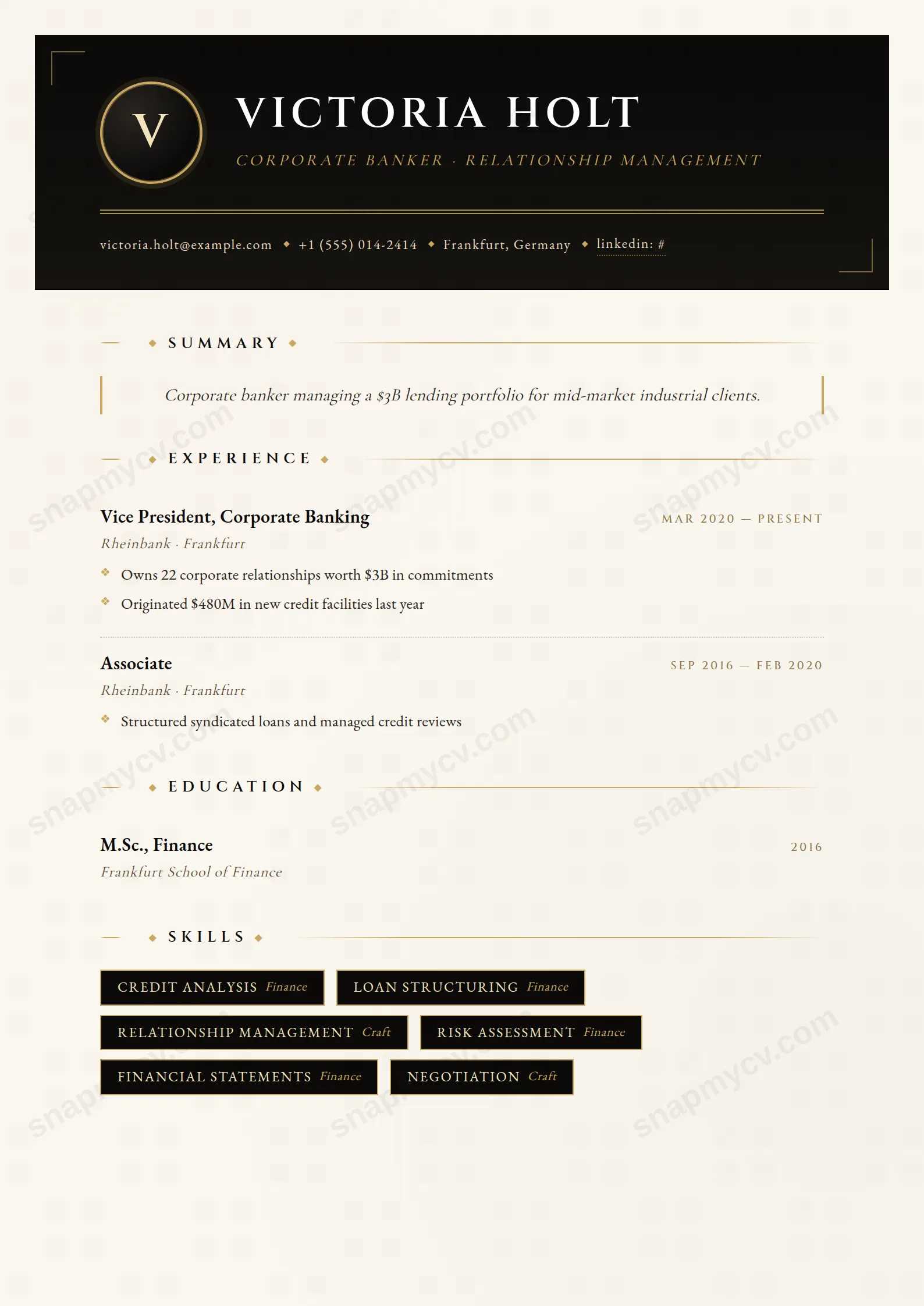 Banker Black CV template preview