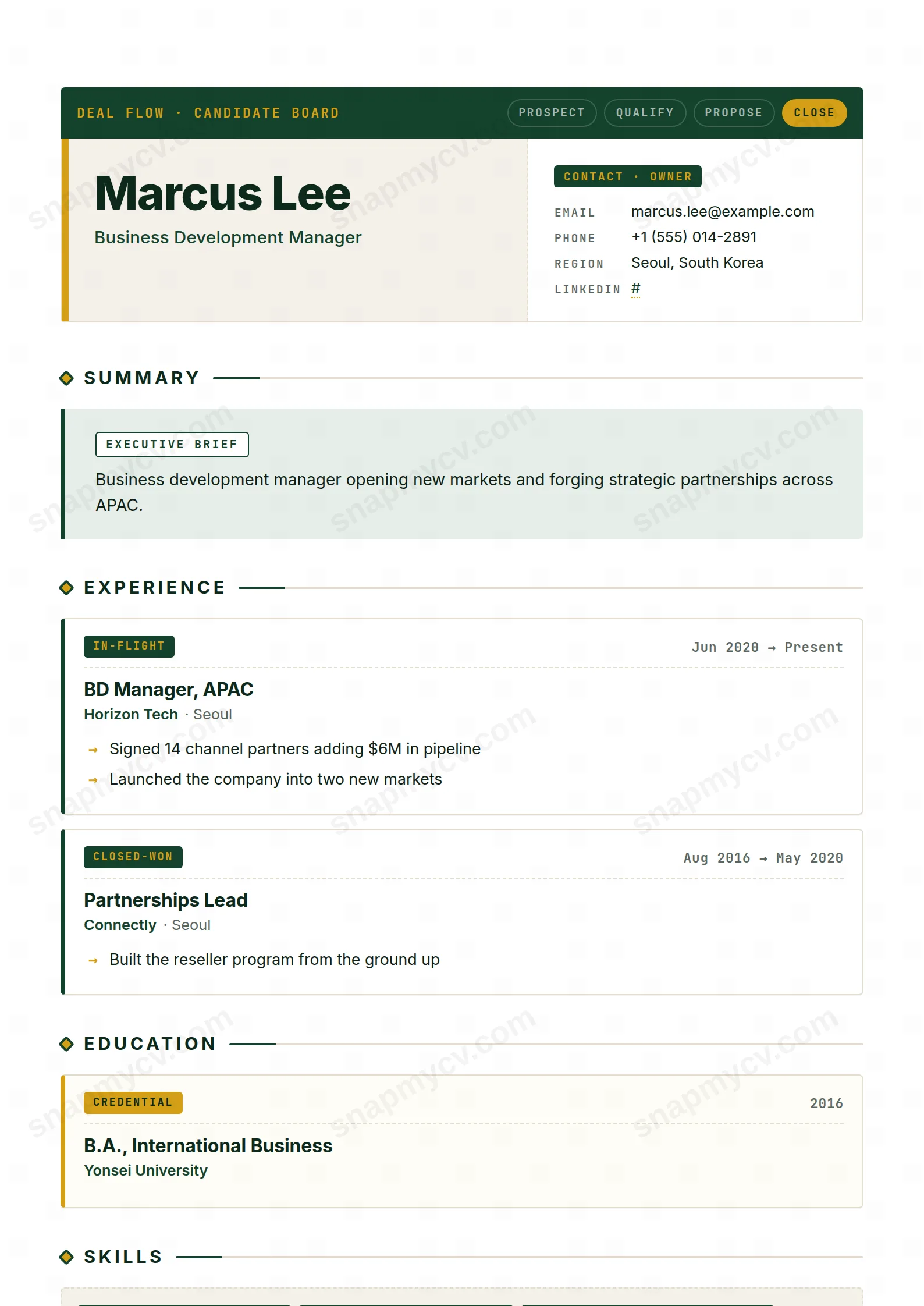 BD Pipeline CV template preview