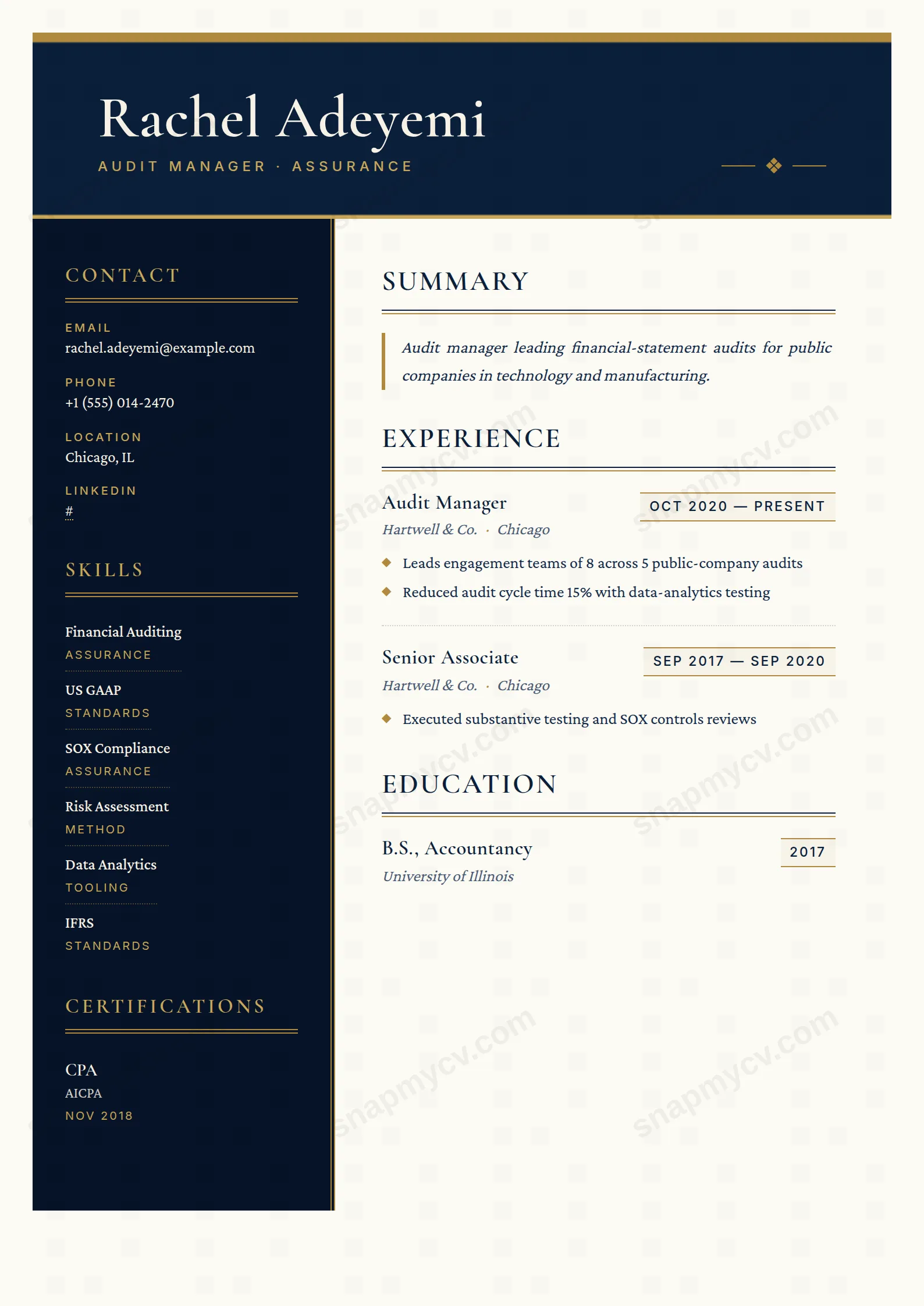 Big Four CV template preview