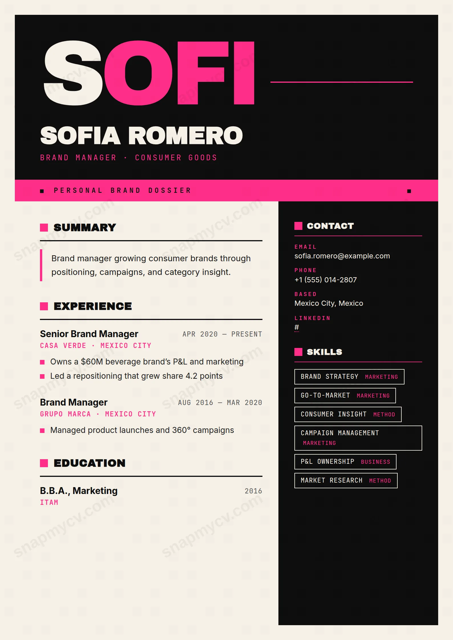 Brand Steward CV template preview