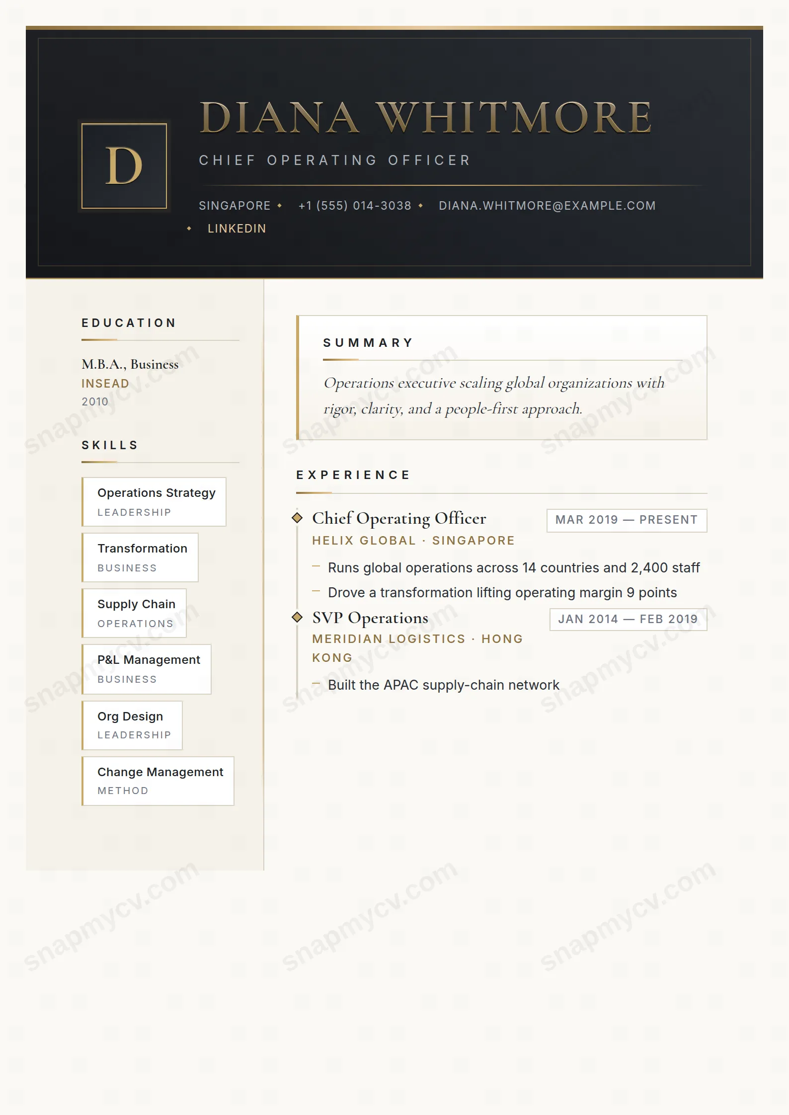 C-Suite Steel CV template preview