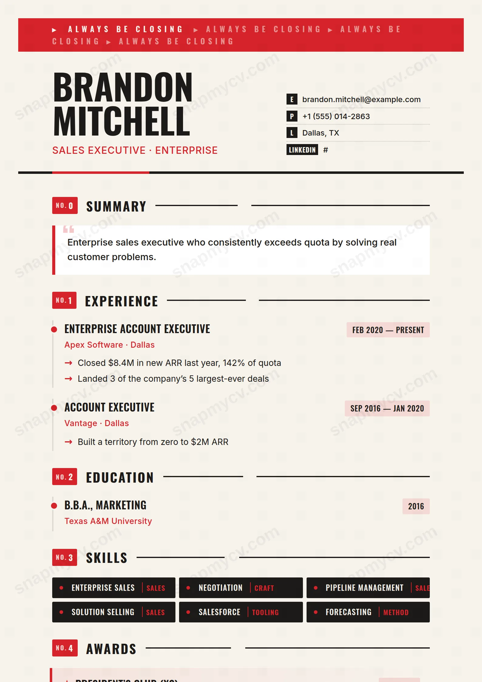 Closer CV template preview