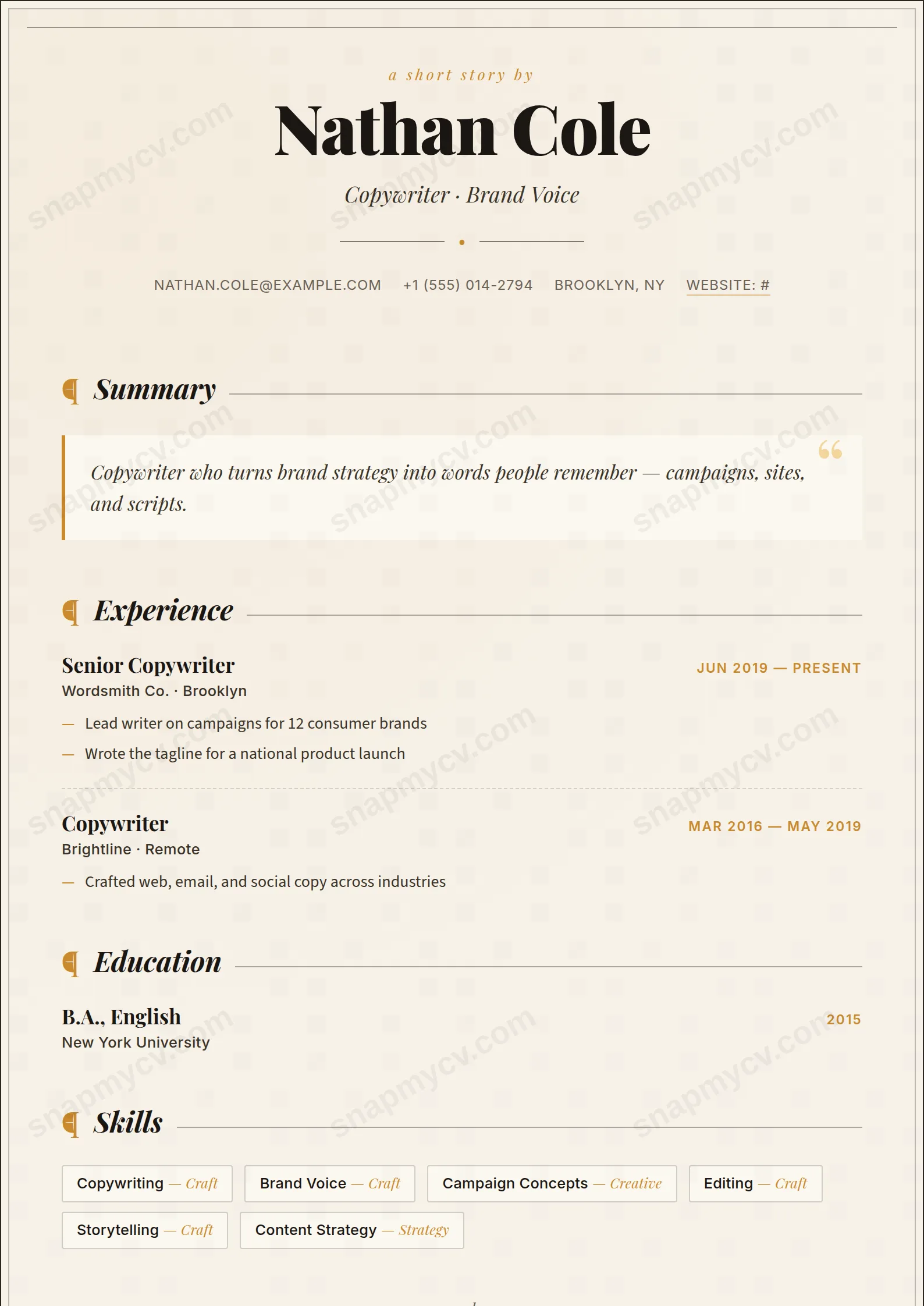 Copywriter CV template preview