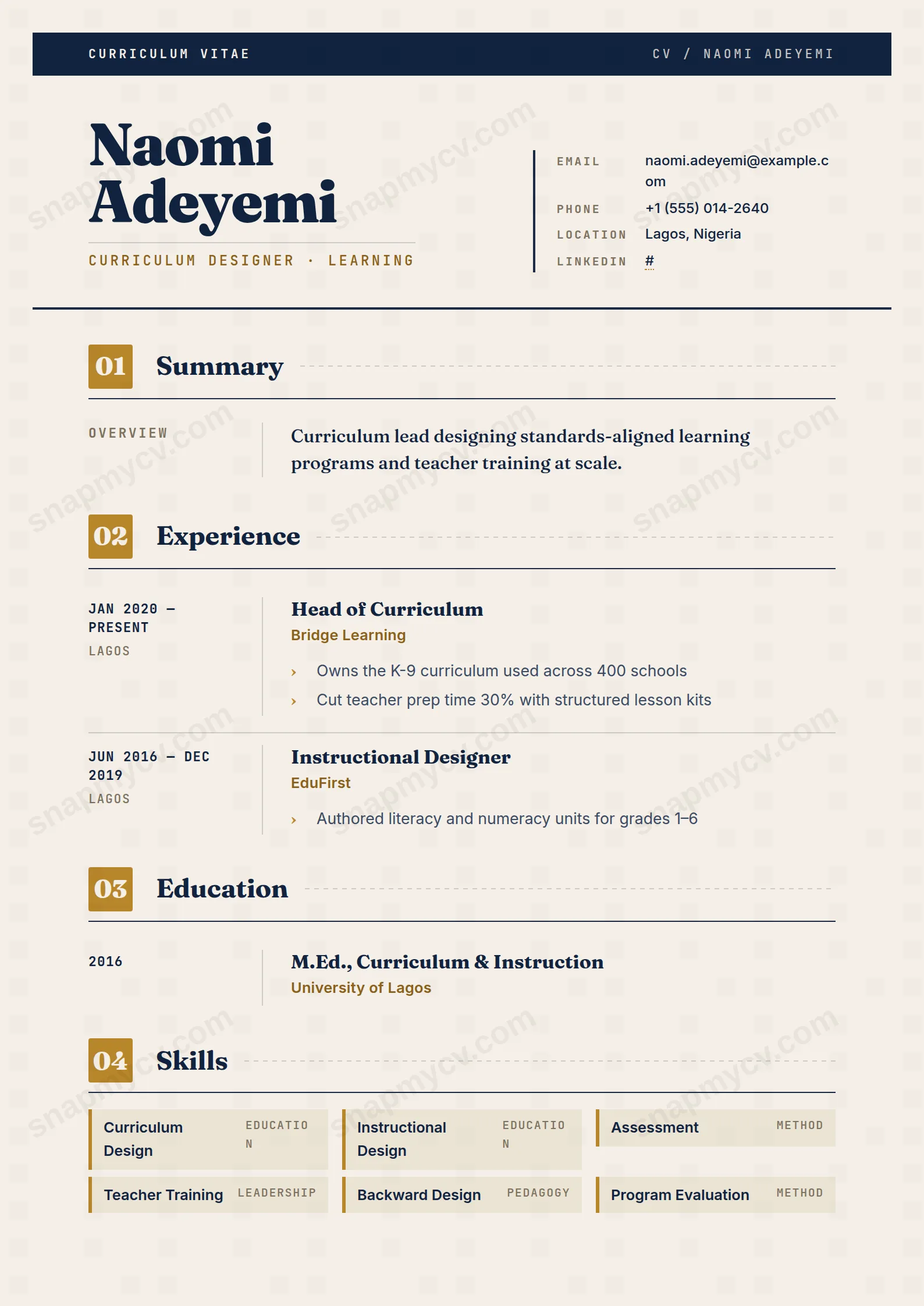 Curriculum Lead CV template preview