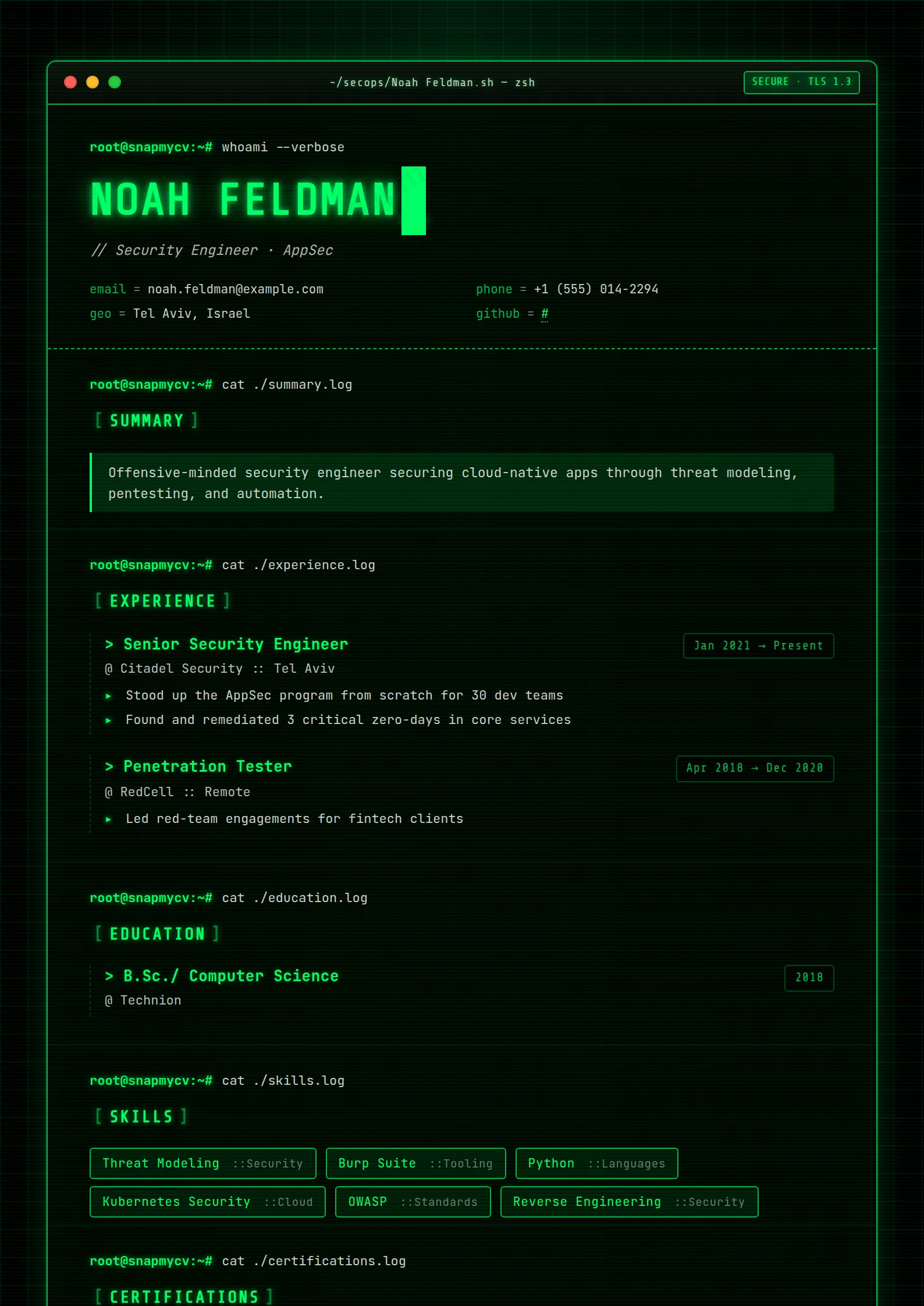 Cyber Sec CV template preview