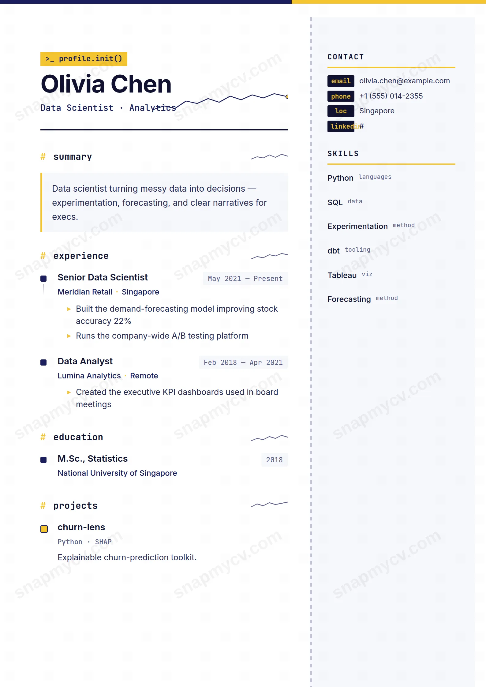 Data Storyteller CV template preview