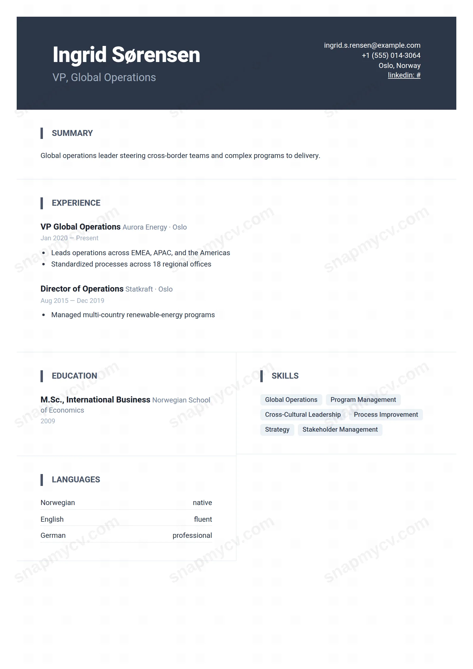 Global Leader CV template preview