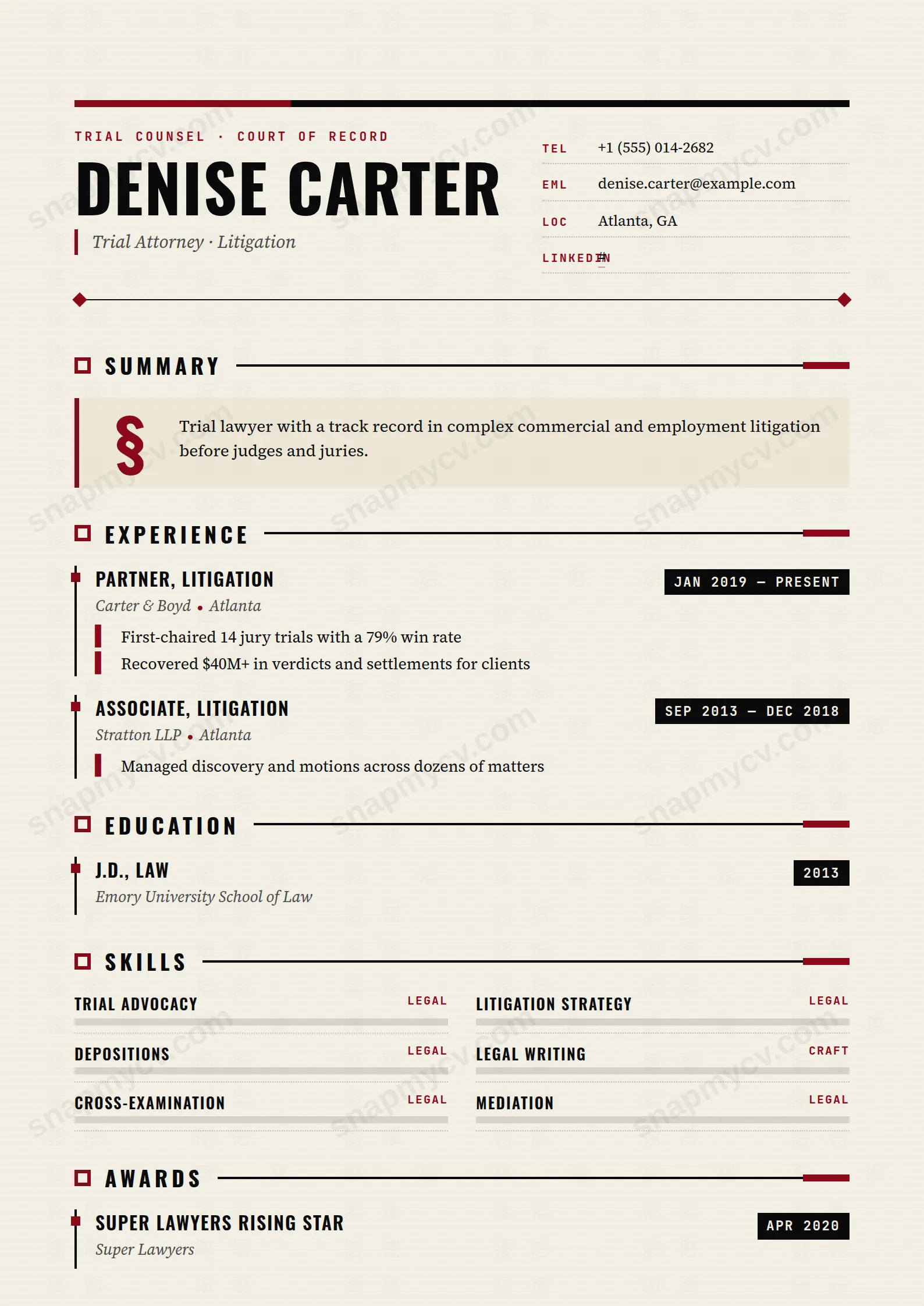 Litigator CV template preview
