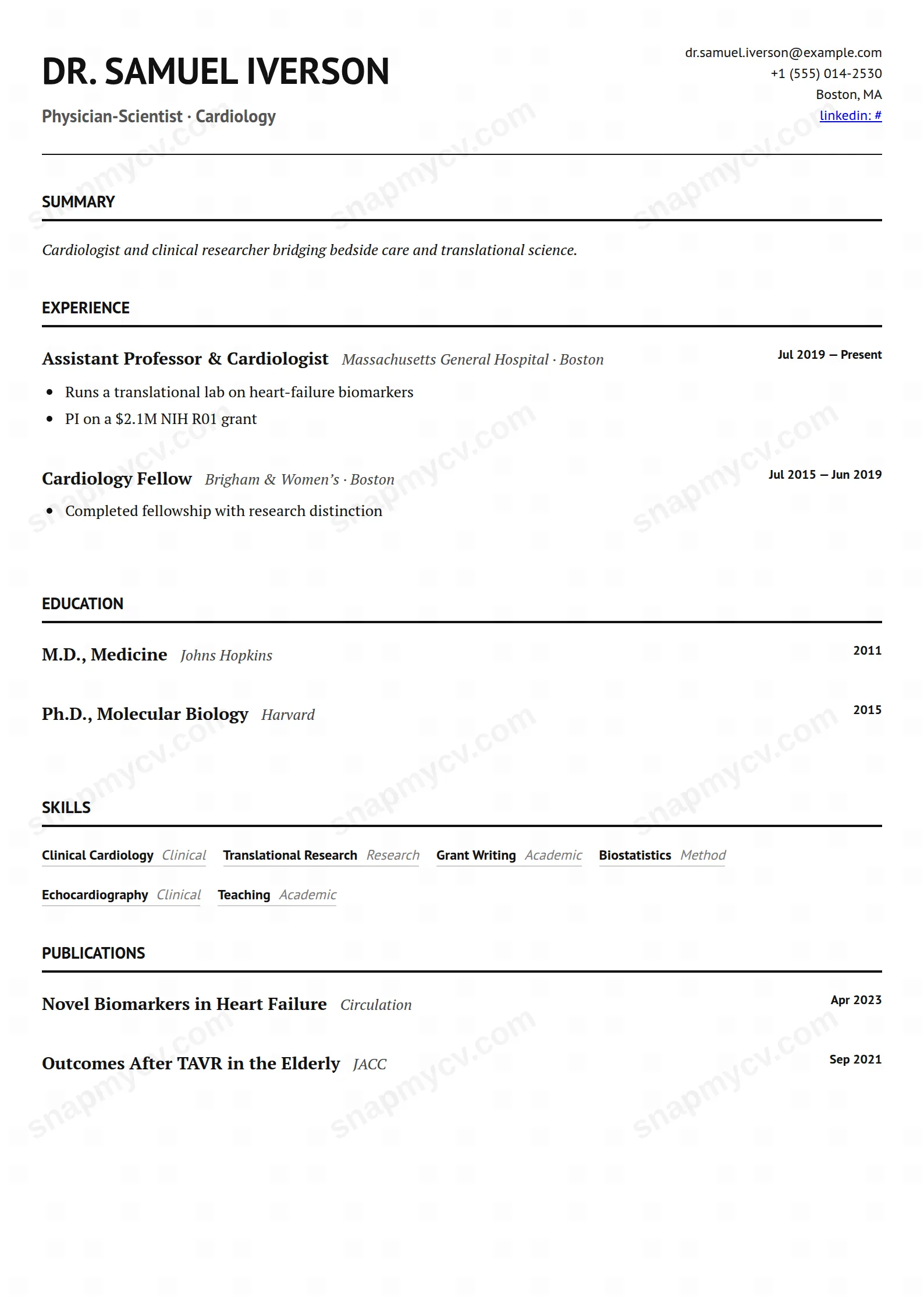 Medical & Academic CV template preview