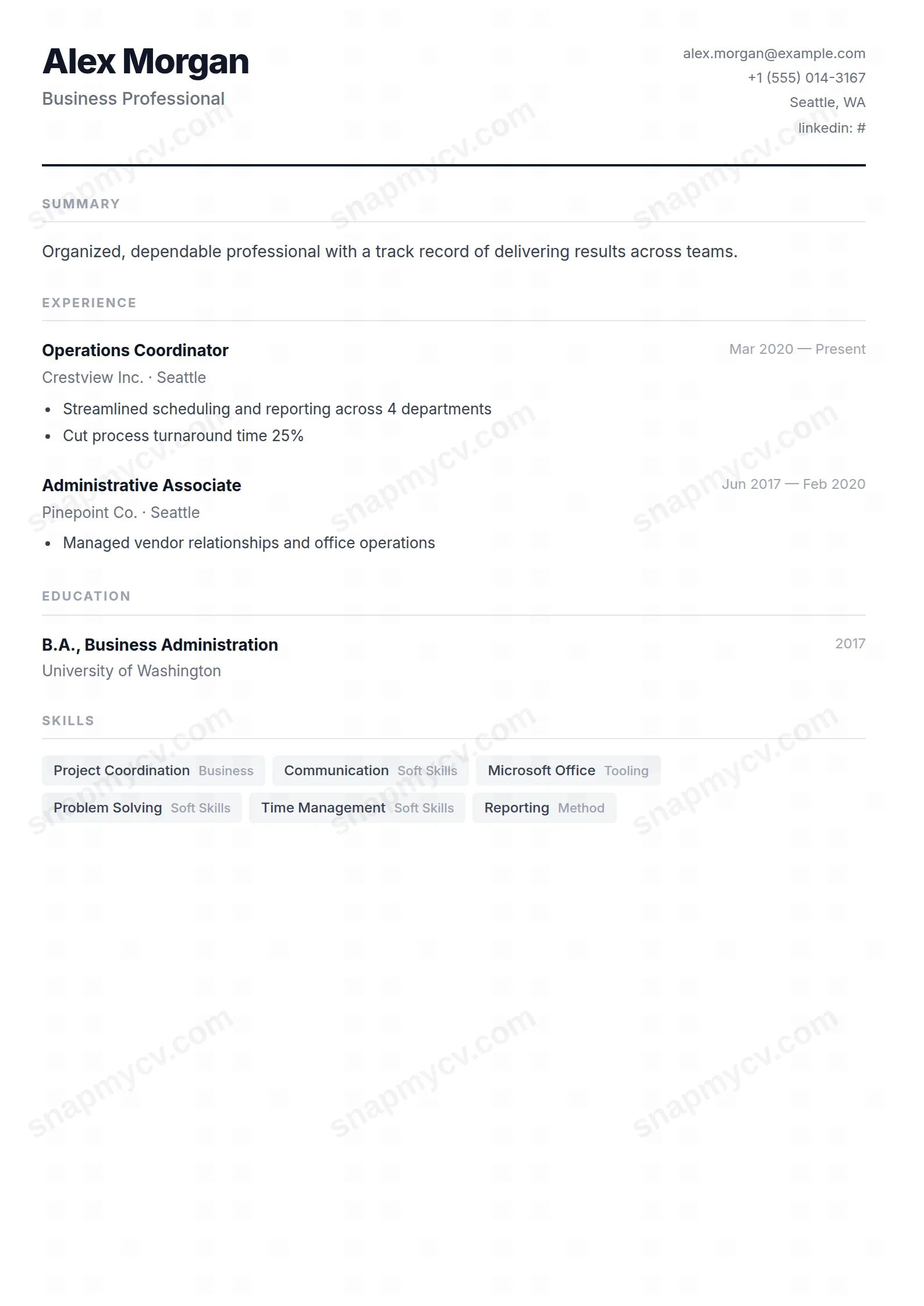 Minimalist CV template preview
