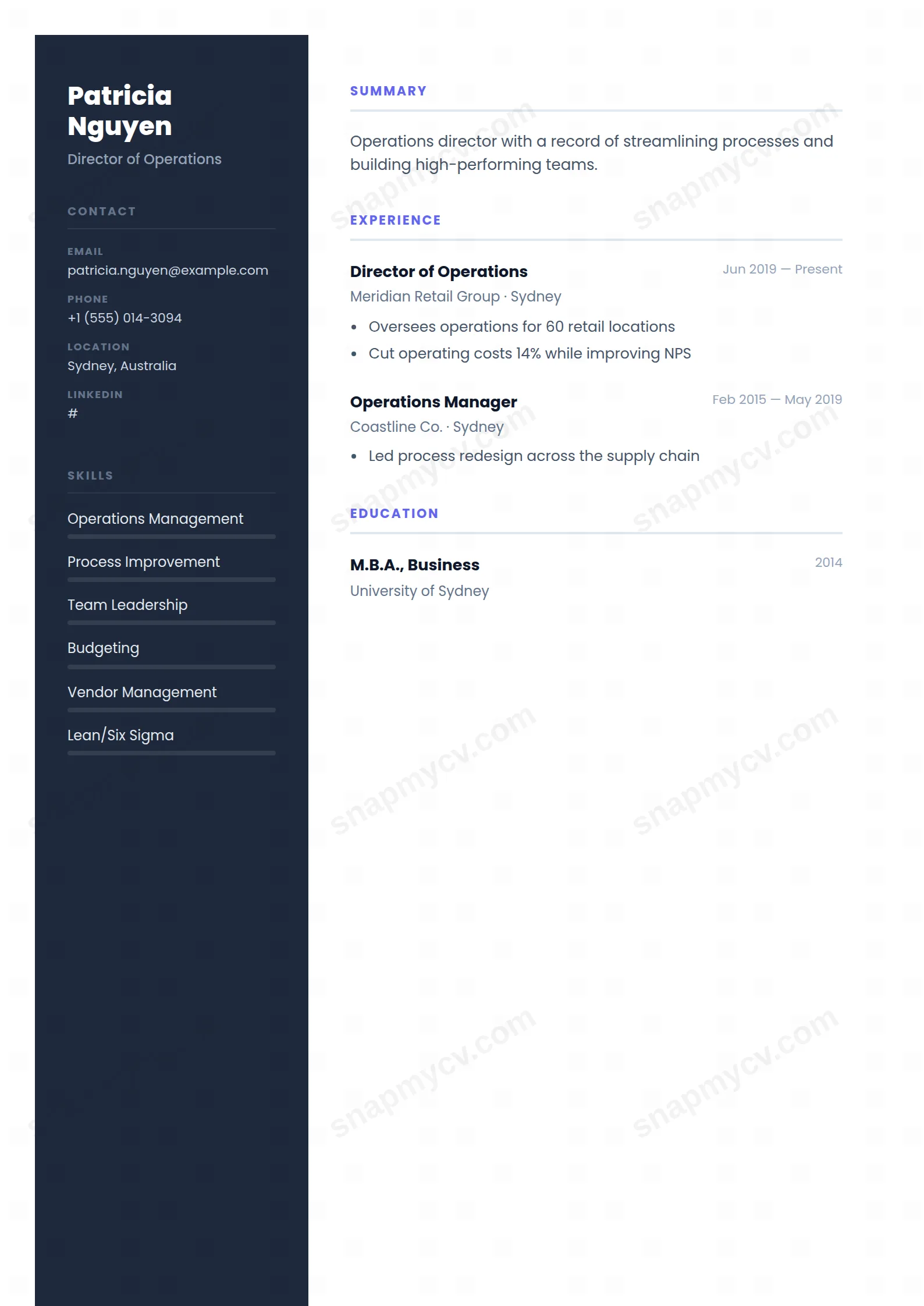 Modern Executive CV template preview