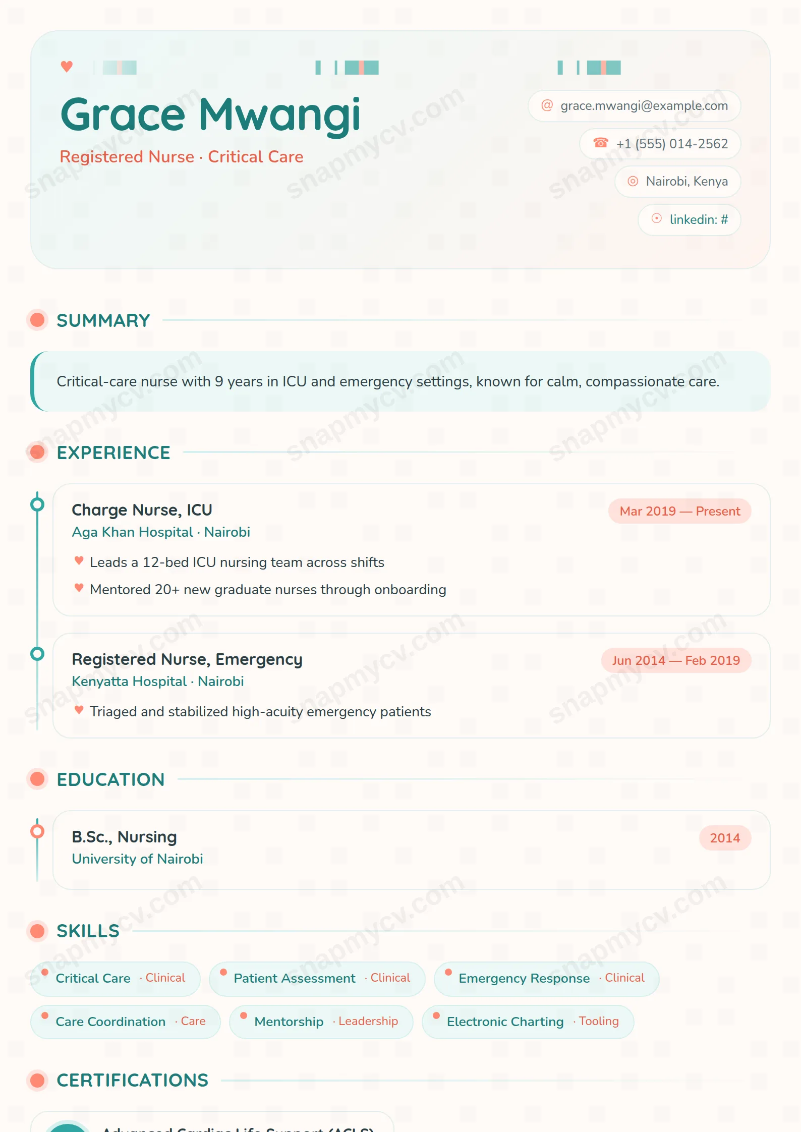 Nursing Care CV template preview