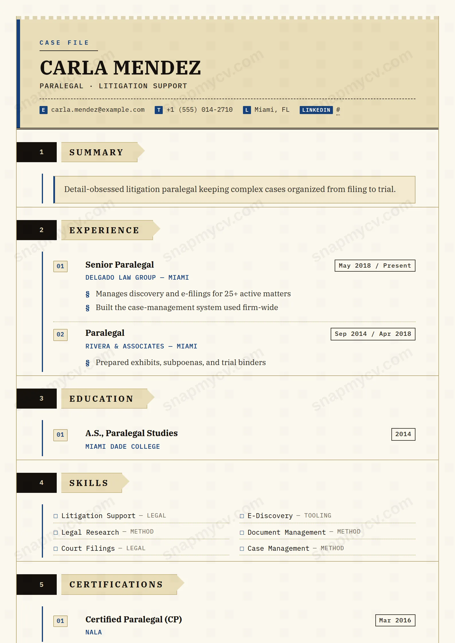 Paralegal Precise CV template preview