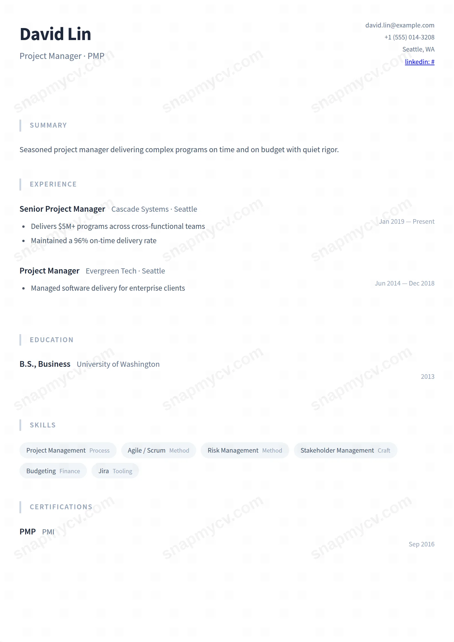 Quiet Professional CV template preview