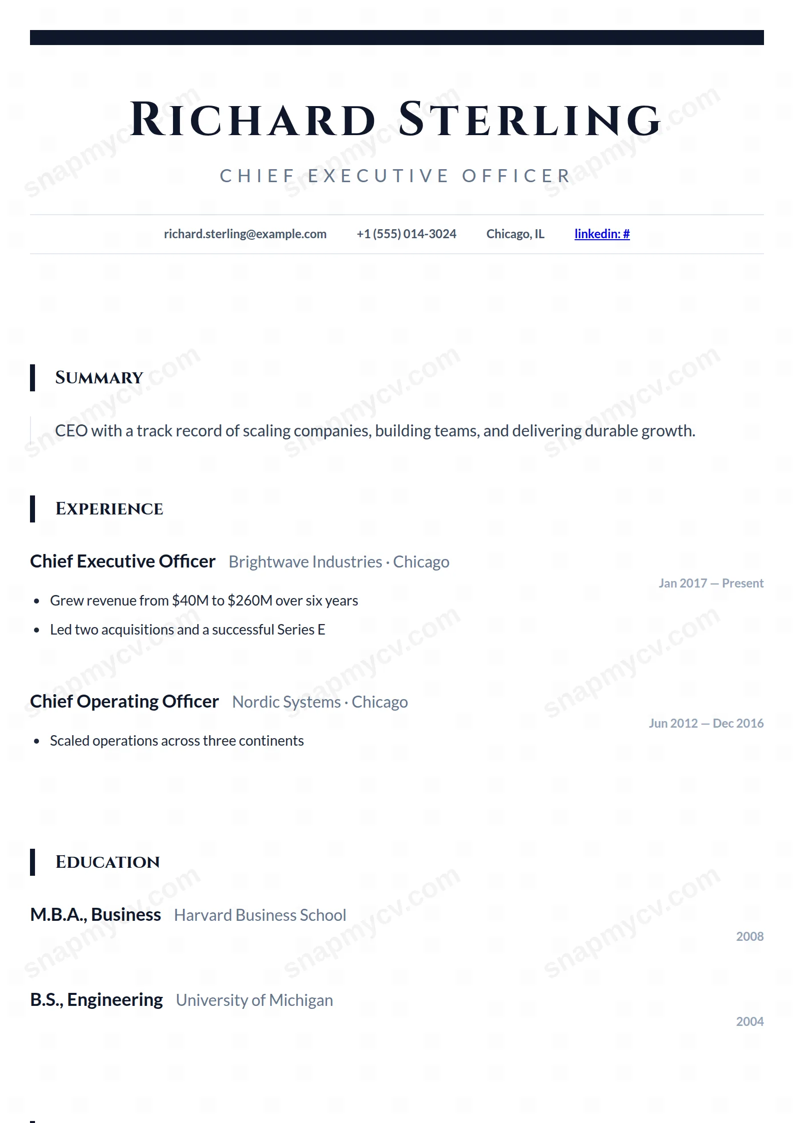 The CEO CV template preview