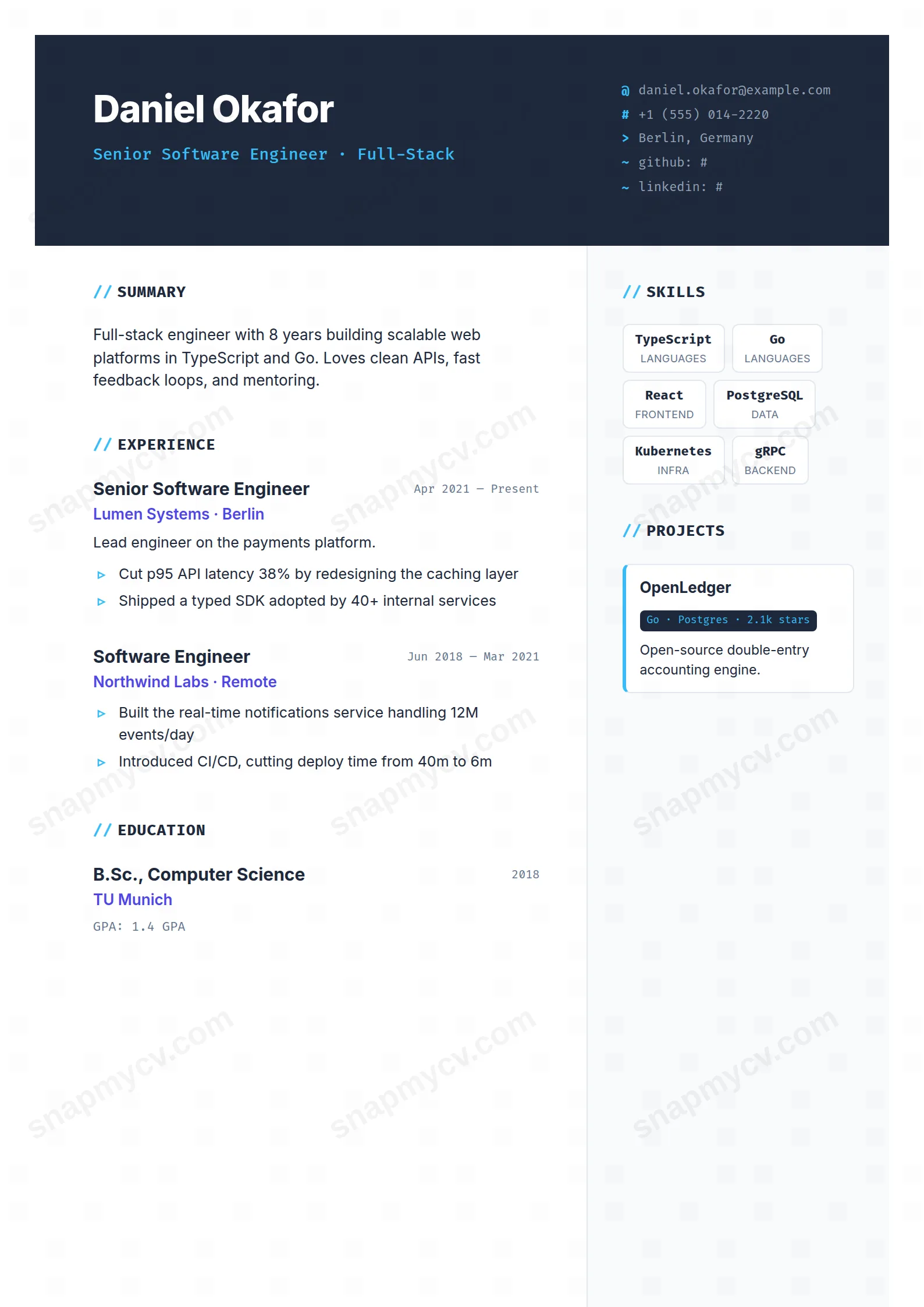 The Developer CV template preview