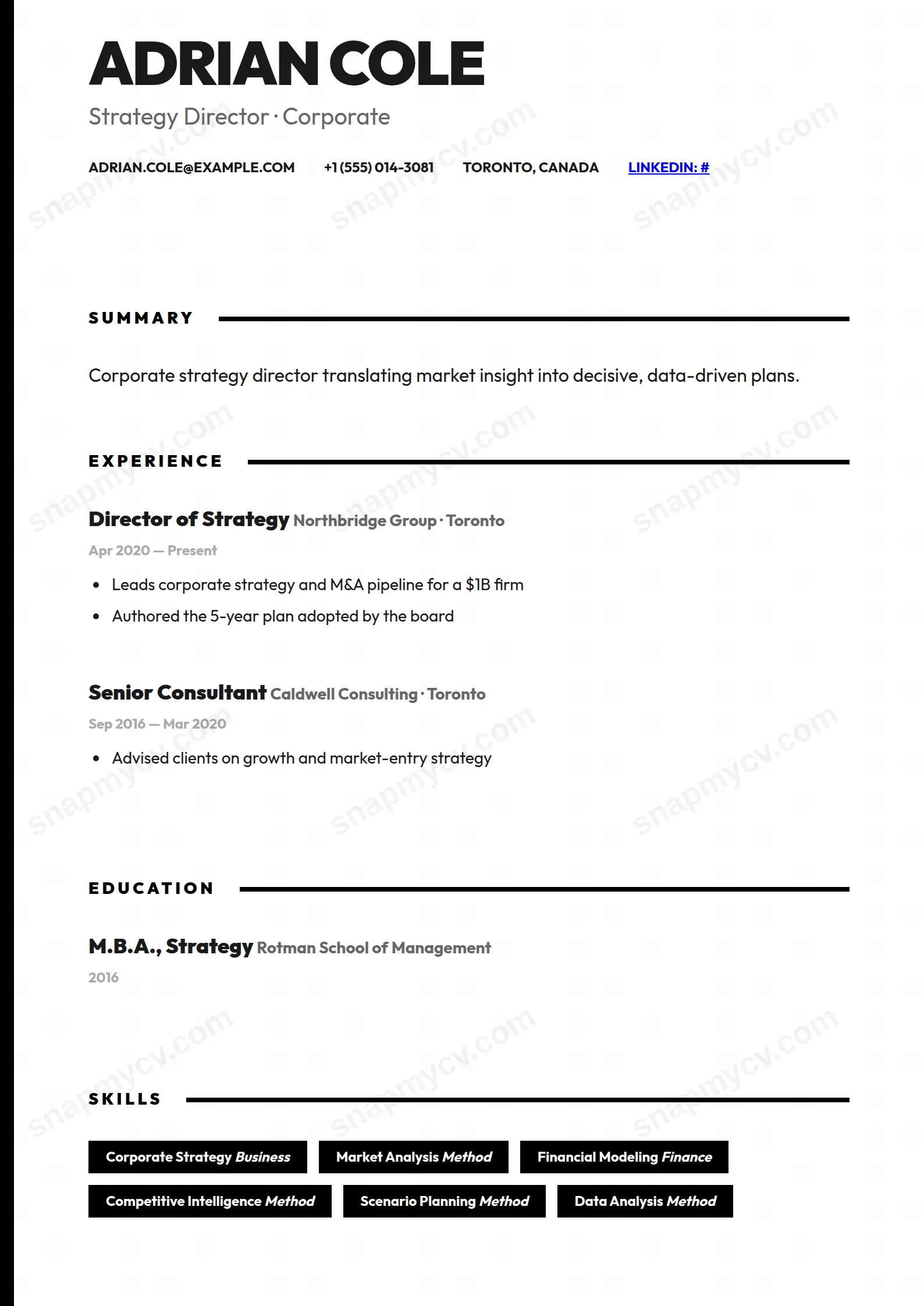 The Strategist CV template preview