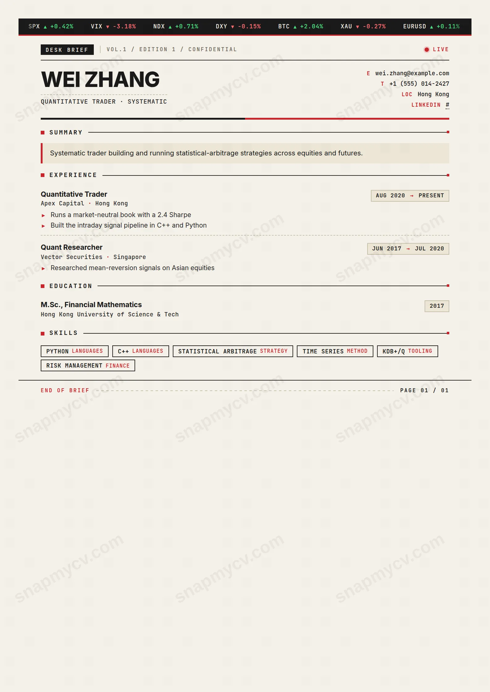 Trader Brief CV template preview