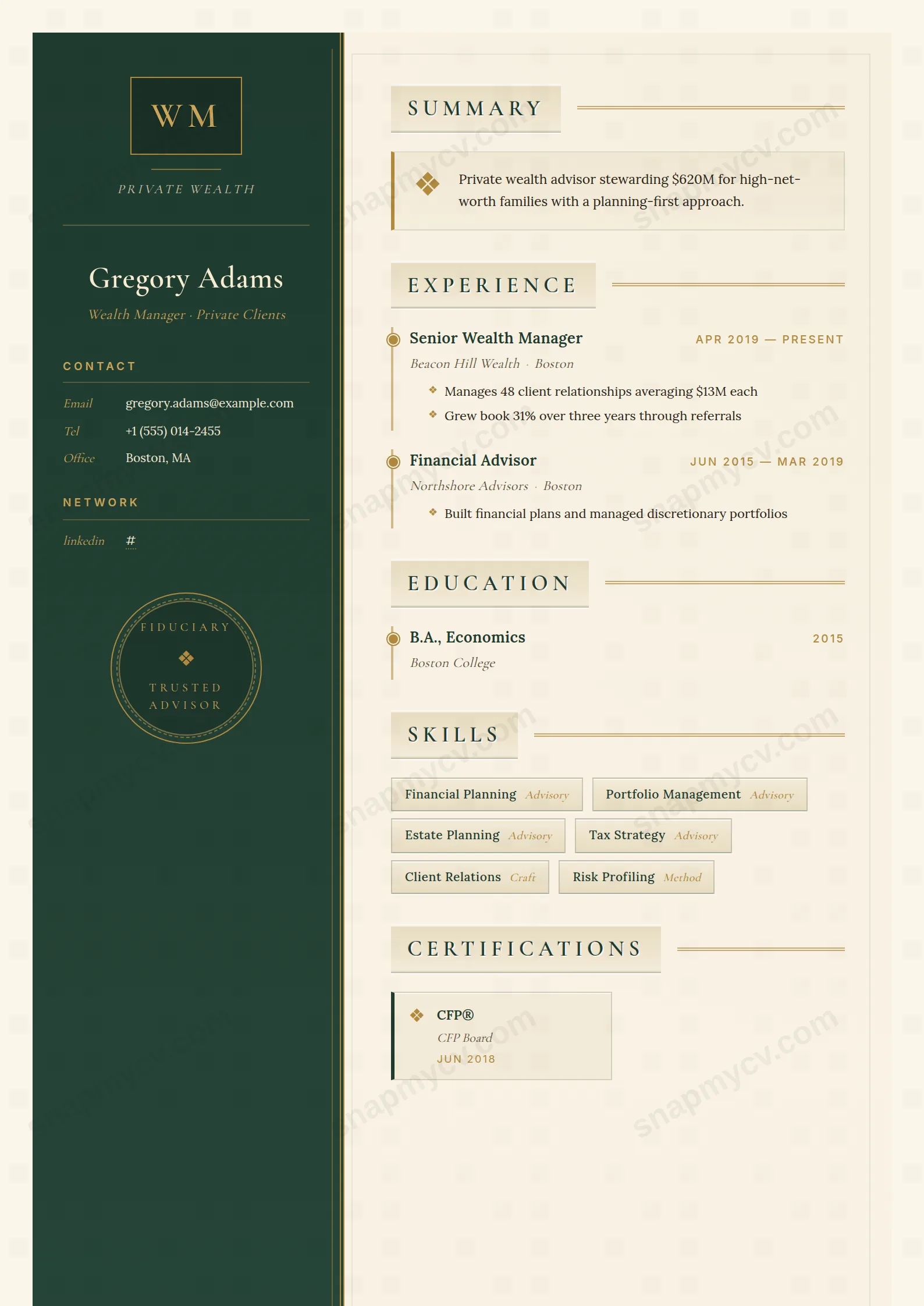 Wealth Manager CV template preview
